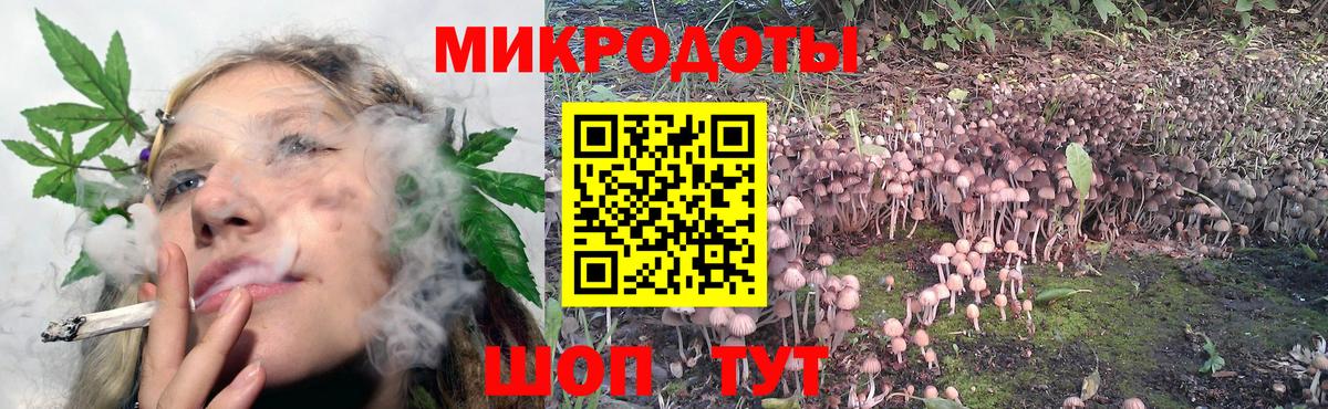 Псилоцибиновые грибы мицелий Волжский