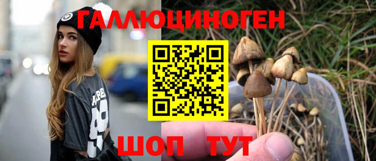 Волжский  Галлюциногенные грибы GOLDEN TEACHER  Галлюциногенные грибы прущие грибы  Вход с VPN 
