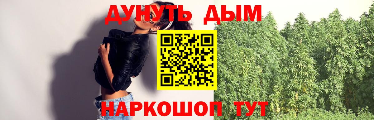 Бошки Шишки план  Каннабис план  Канабис SATIVA & INDICA  Вход с VPN  Канабис THC 21%  Волжский 